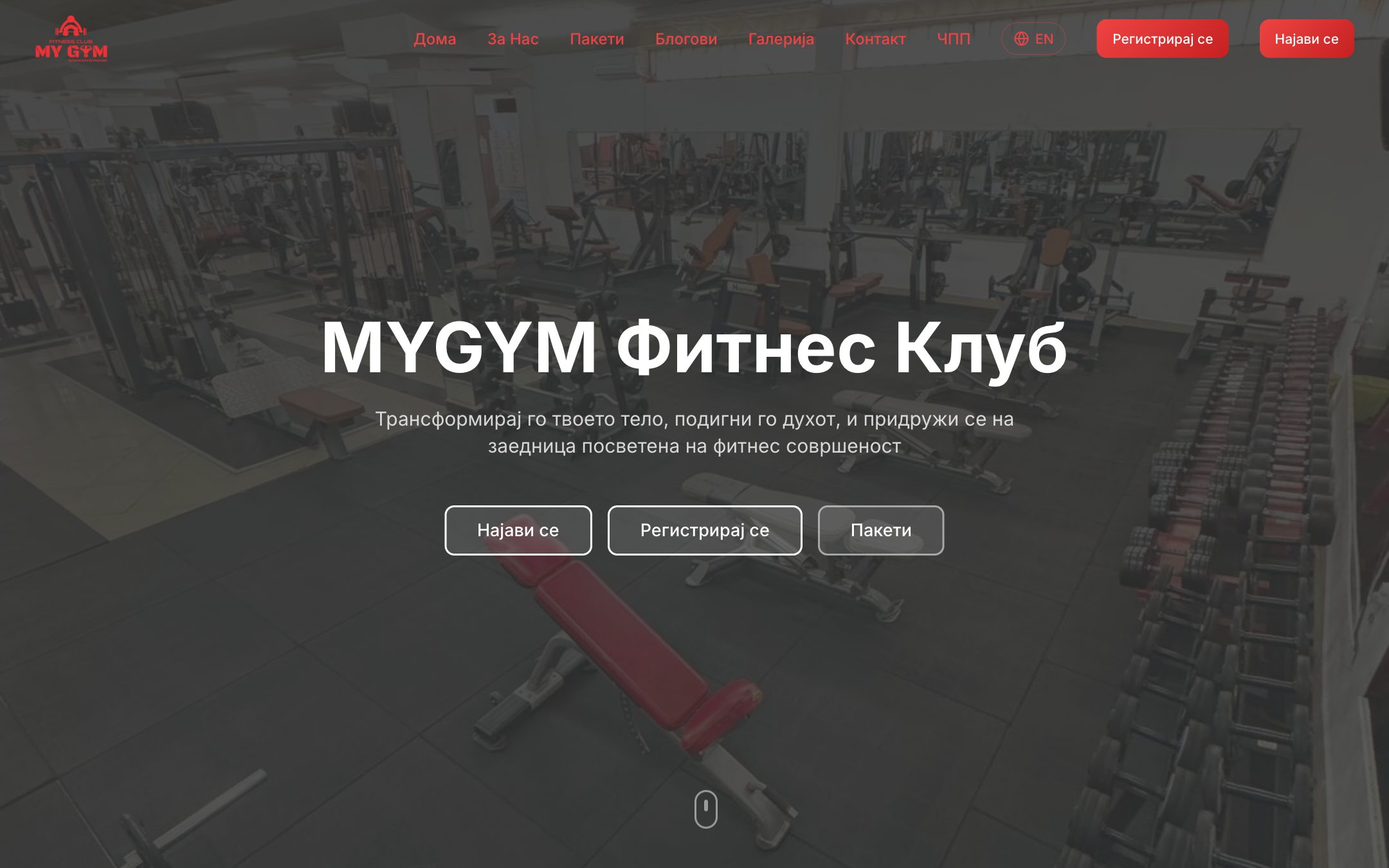 Member website: screenshot of the Gym Management System system
